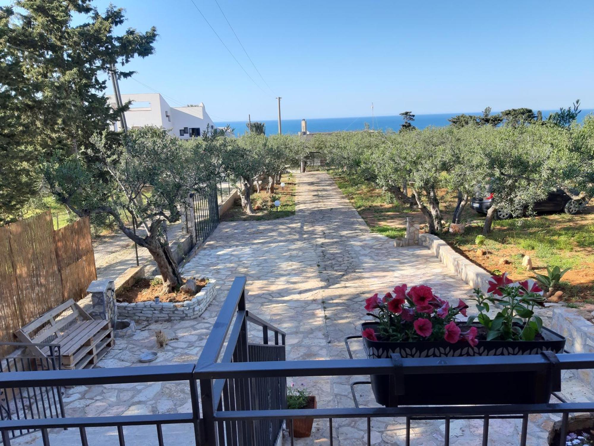 Villa L'Orizzonte Di Calabianca Castellammare del Golfo Exterior photo