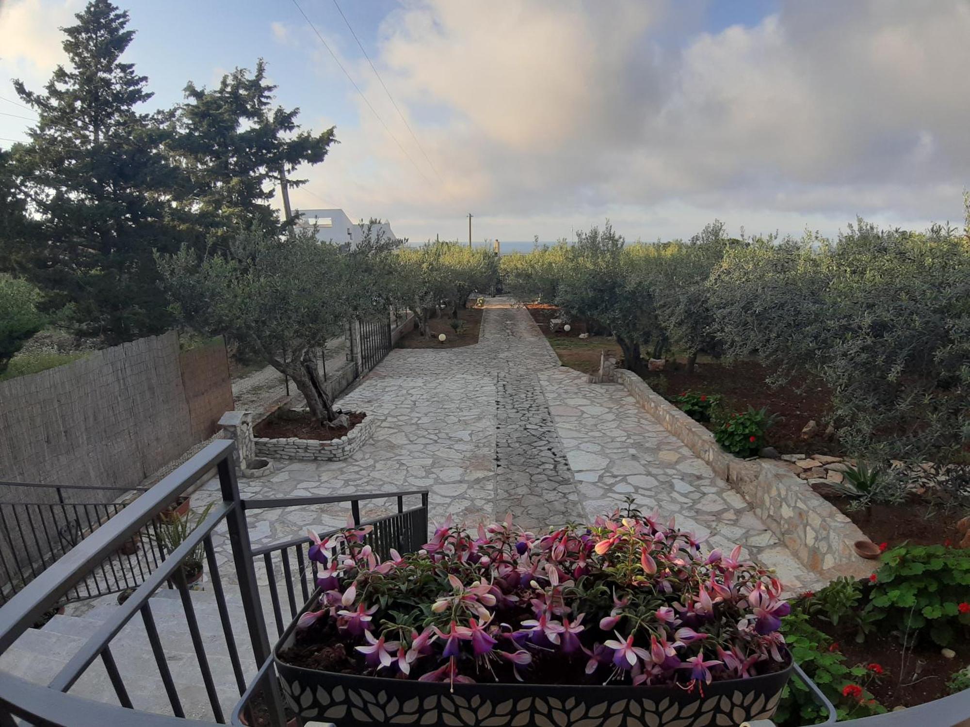 Villa L'Orizzonte Di Calabianca Castellammare del Golfo Exterior photo