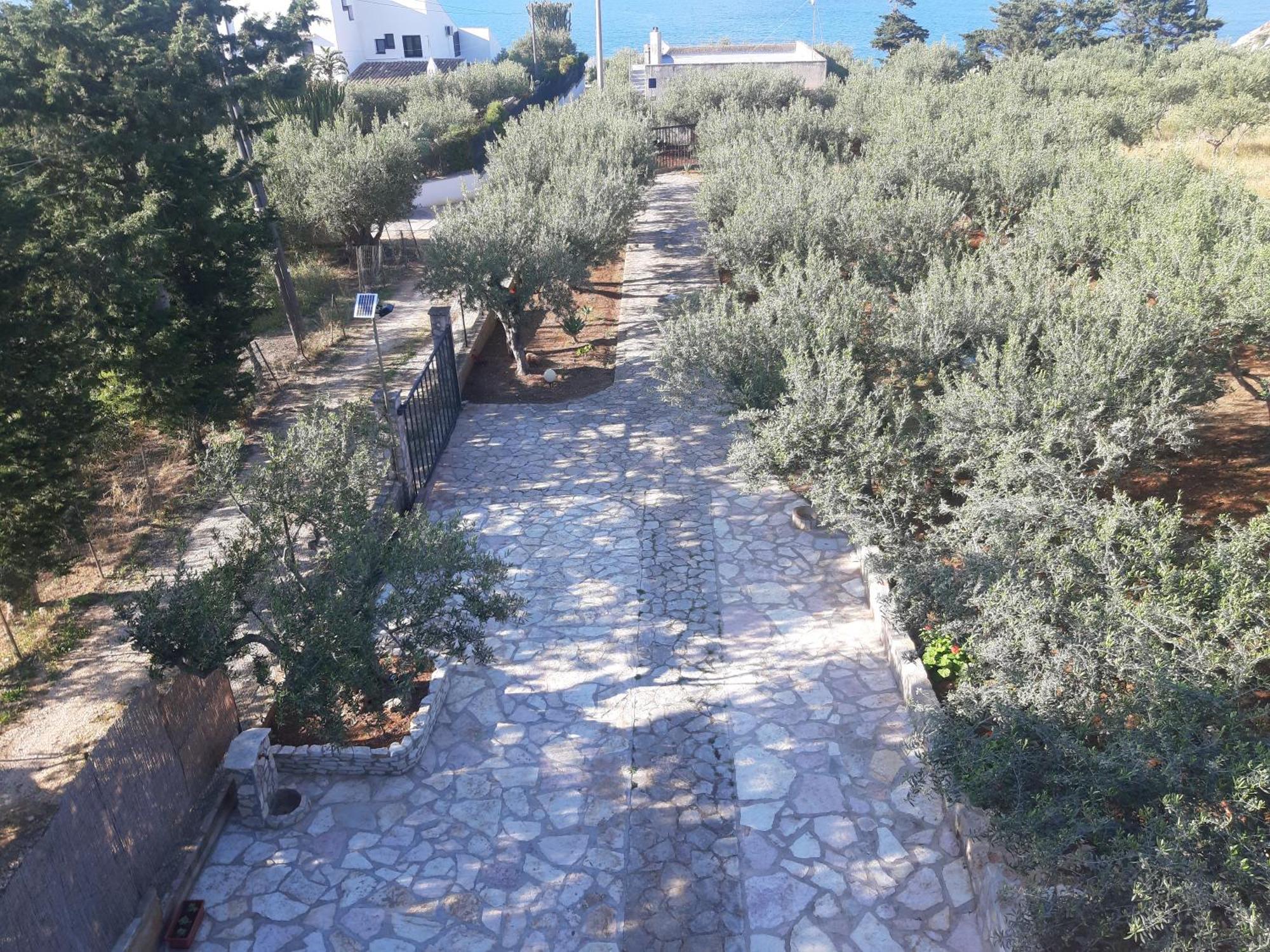 Villa L'Orizzonte Di Calabianca Castellammare del Golfo Exterior photo